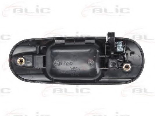 BLIC 6010-12-028404P Door Handle